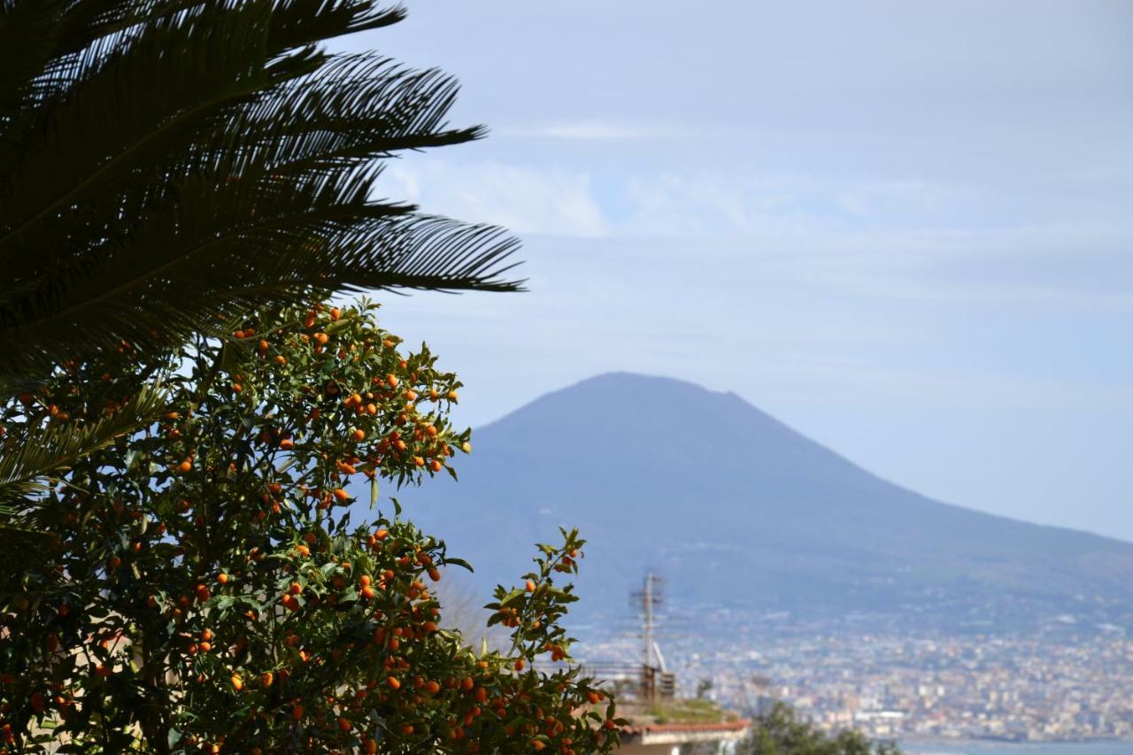 Appartement Casa Del Cedro à Naples Extérieur photo